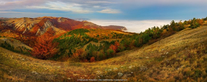 Демерджи...photo preview