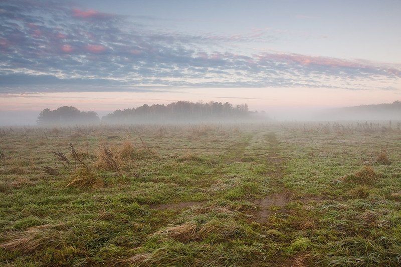 деревья, дорога, иней, лес, небо, облака, осень, пейзаж, трава, утро Холодное утро октябряphoto preview