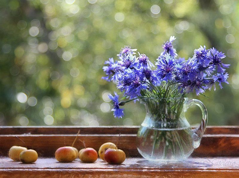 Вспоминая лето...photo preview