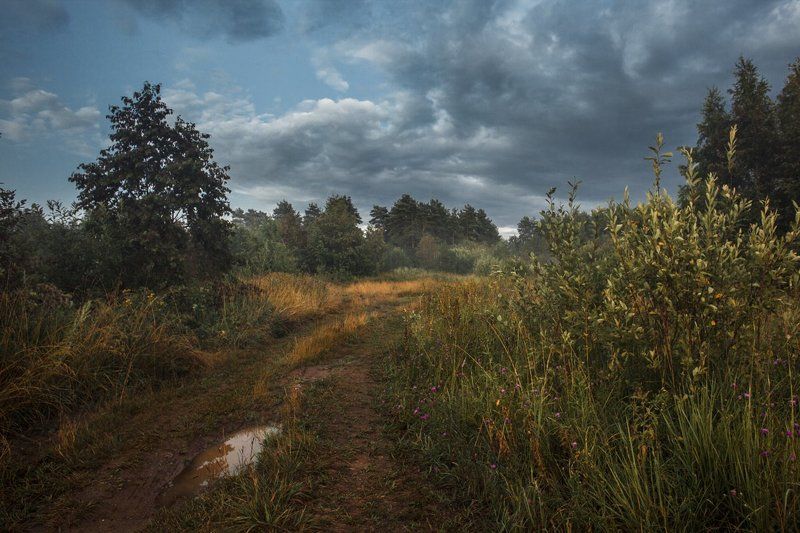 По дороге к озеру фото превью