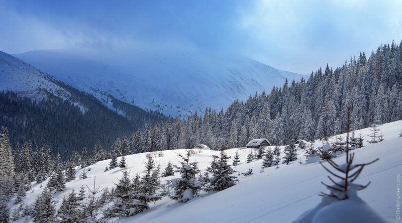 Домикphoto preview