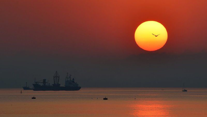 Я липкой ленты прикупил - заклеить на ночь нос.photo preview