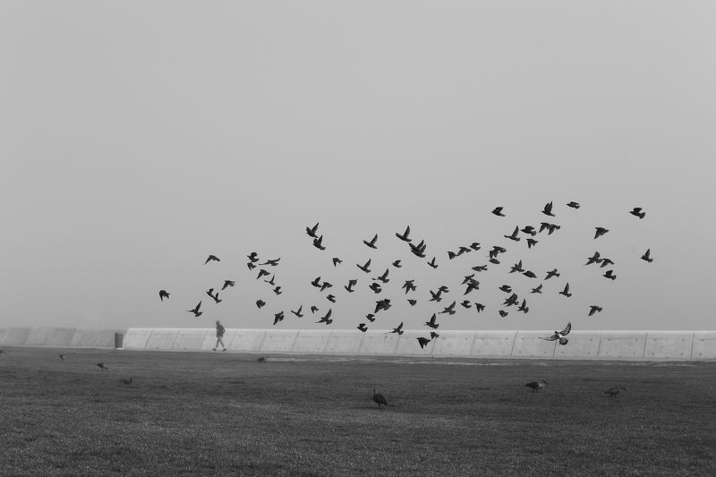 Одним туманным утромphoto preview