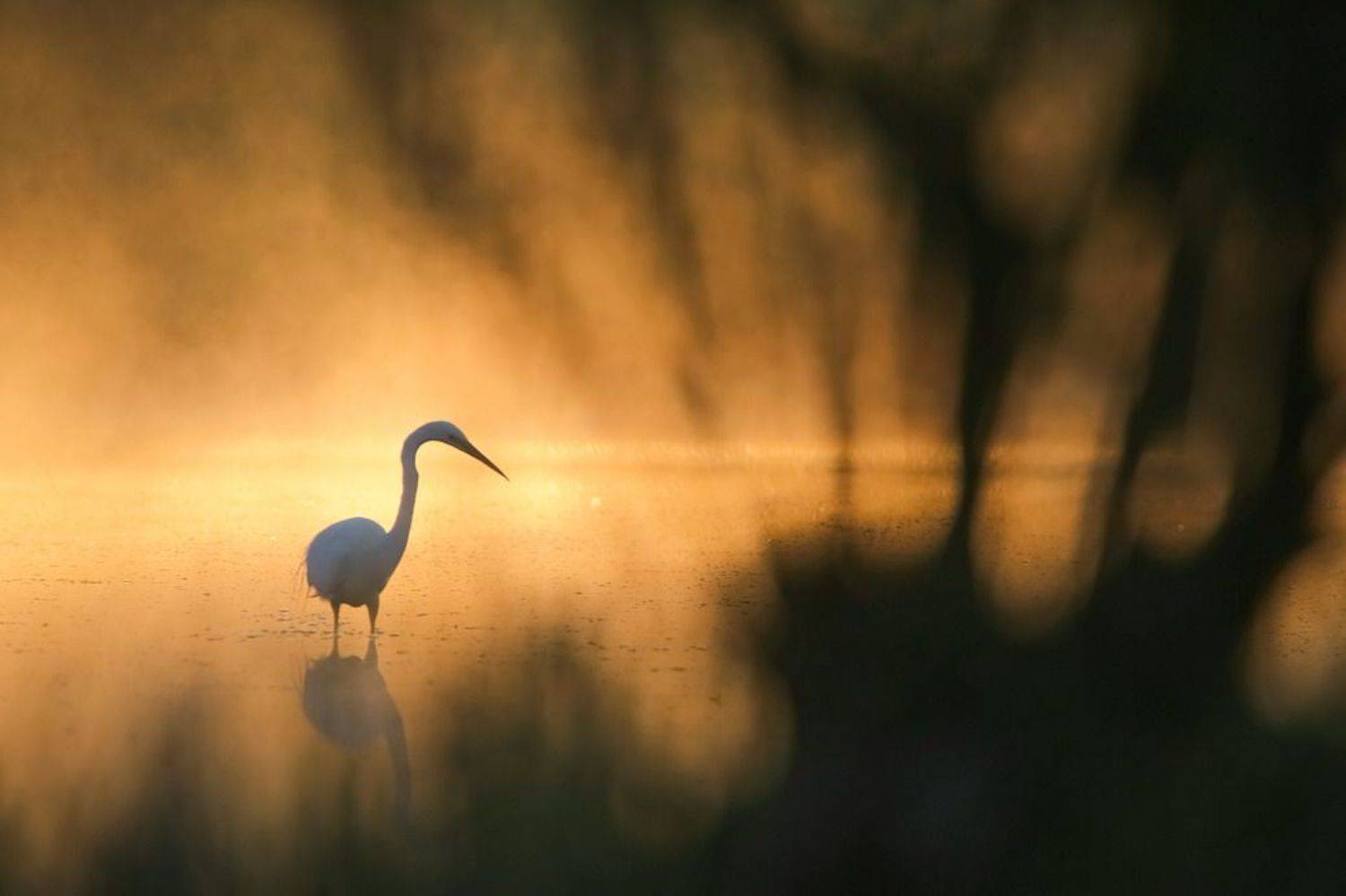 , Вячеслав Мищенко