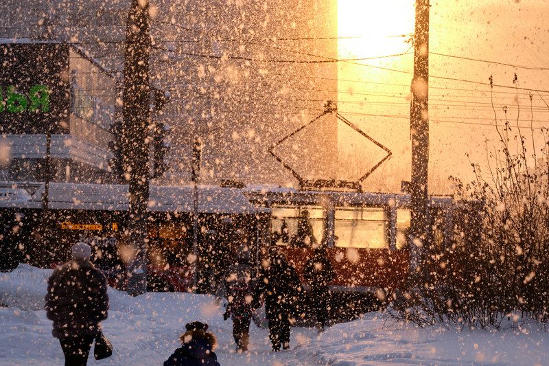 Закатный снегphoto preview