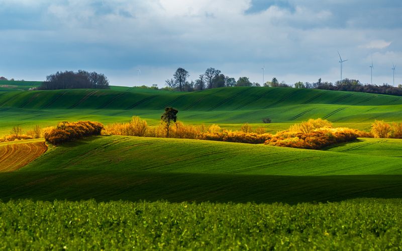 Kolorowy świtphoto preview