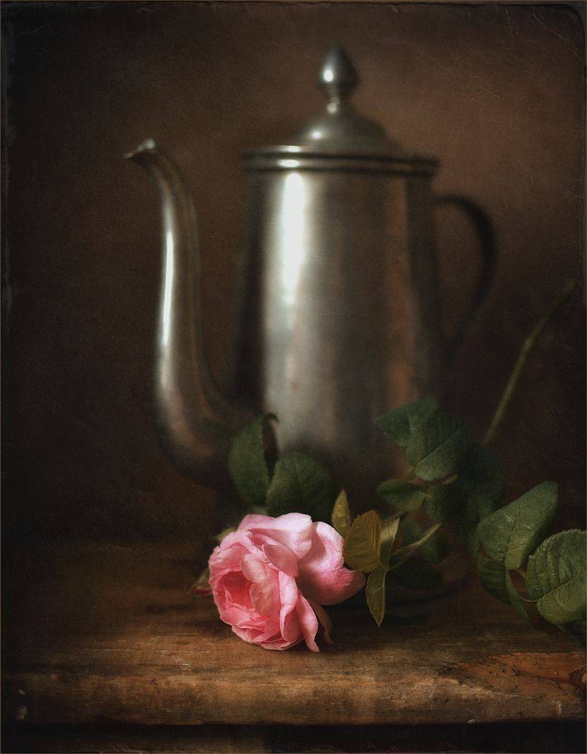 ВЕТОЧКА... Автор: Александр Хромеев , Александр Хромеев