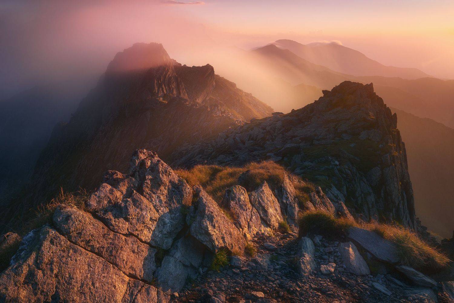 Whiplash. Автор: Szabo Zsolt Andras , Szabo Zsolt Andras