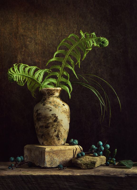 Папоротникphoto preview