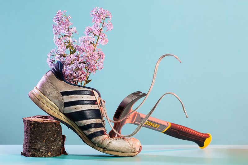 Сиреньphoto preview