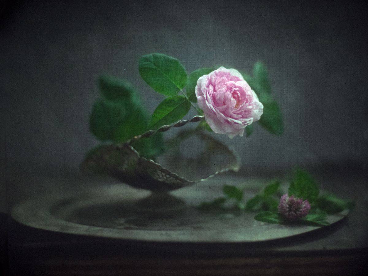 Чарующий свет тишины.... Автор: Татьяна Аверина #haruhisa, Татьяна Аверина