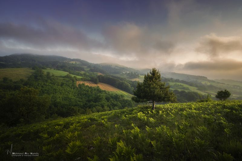 Sunrisephoto preview