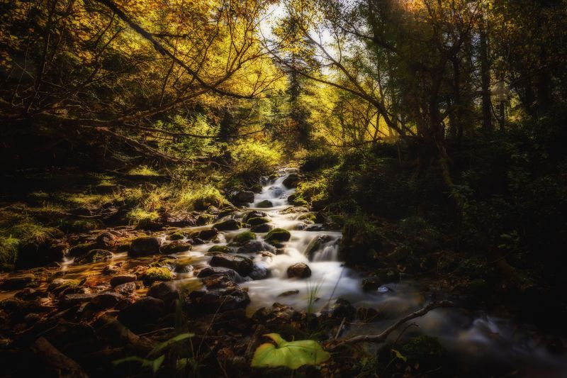 пейзаж, горы, кавказские горы, природа россии, архыз, горная река Жёлтый деньphoto preview