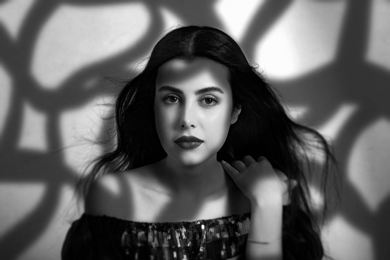 rezamohammadi, reza, mohammadi, reza_mohammadi, portrait, studio,, Reza Mohammadi