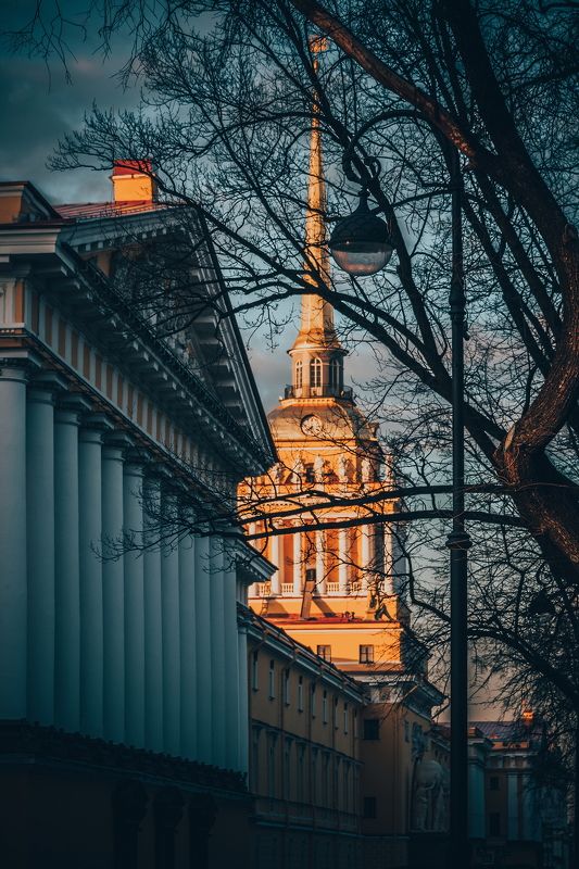 адмиралтейство, петербург, вечер, дерево, закат, питер цвета вечернего Петербурга фото превью