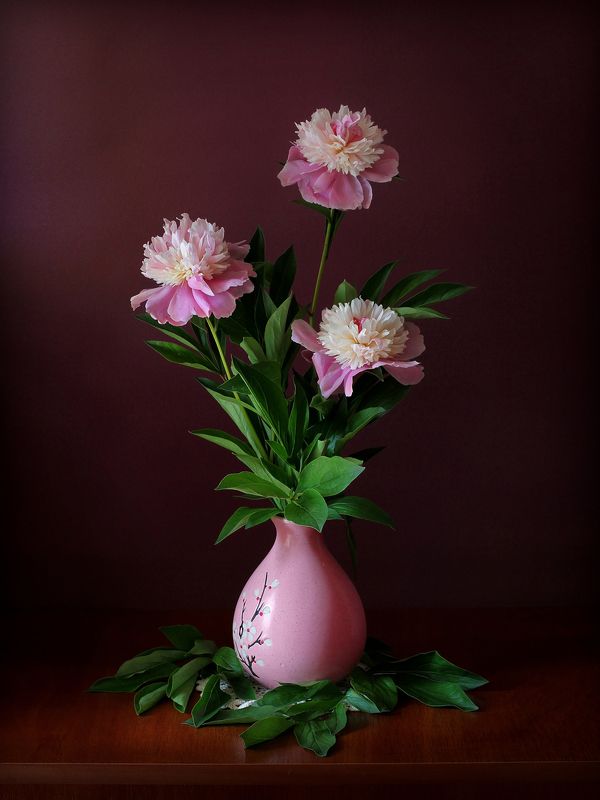 Этюд с пионамиphoto preview