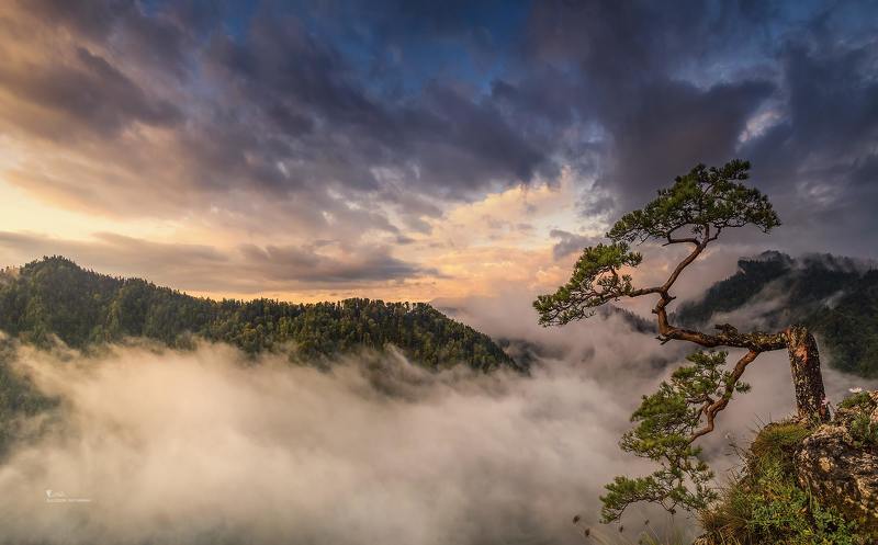 Mountain Fogsphoto preview