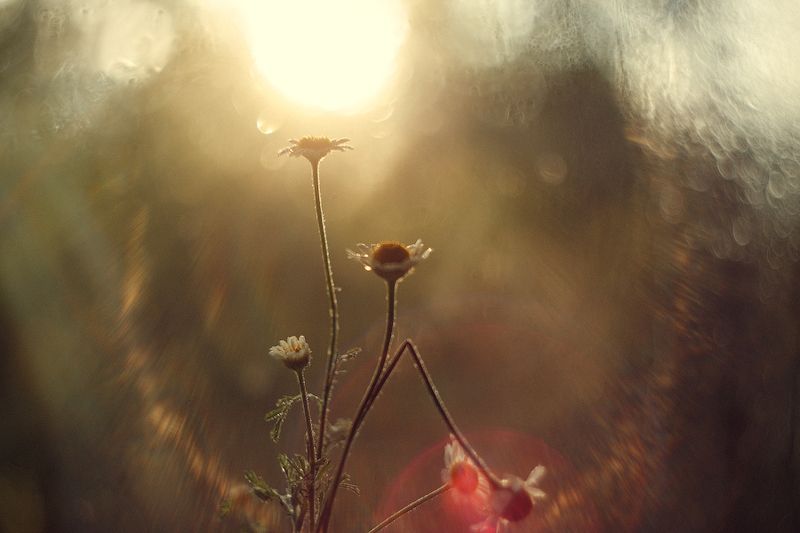 Вечер фото превью