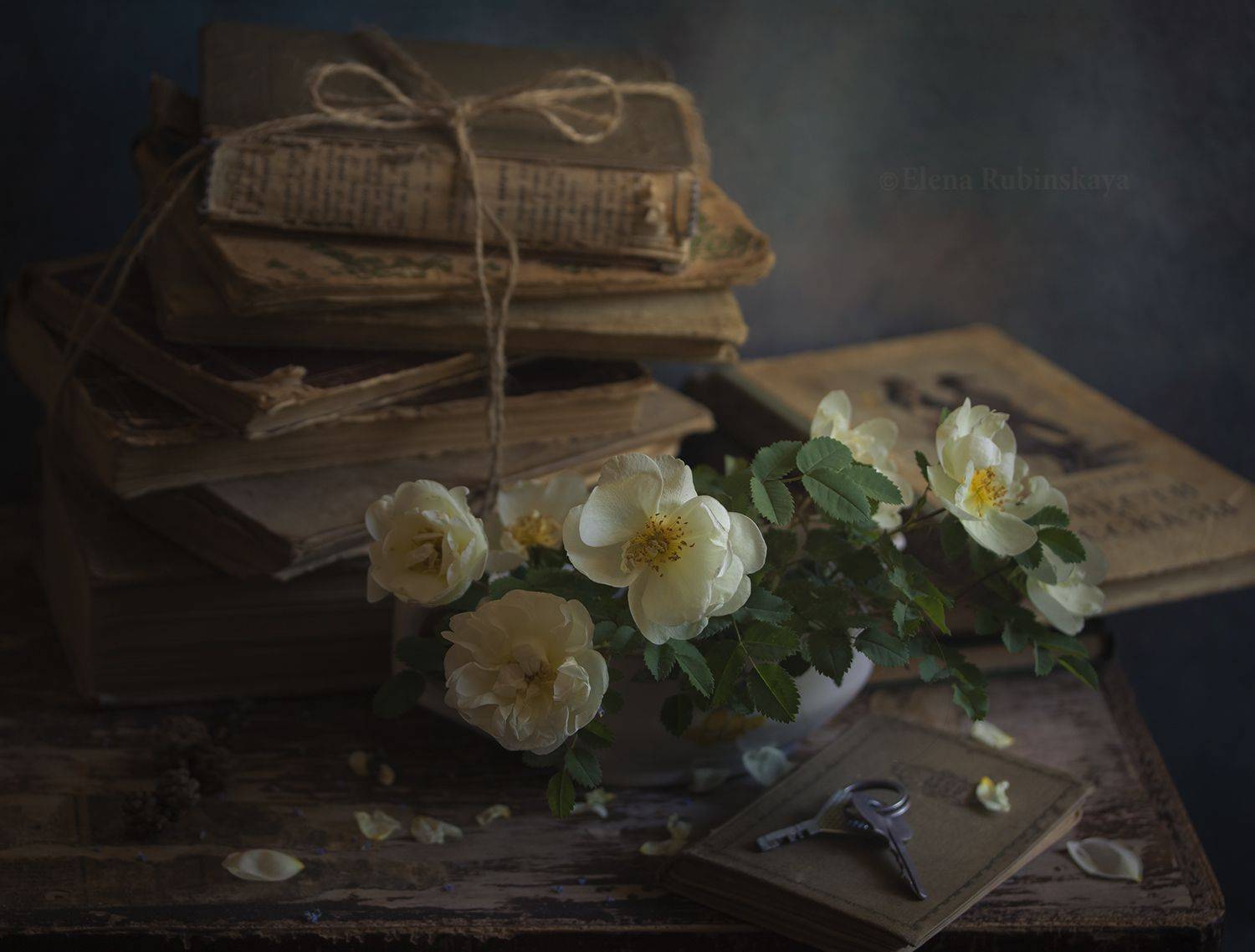 кострома,натюрморт, Елена Рубинская