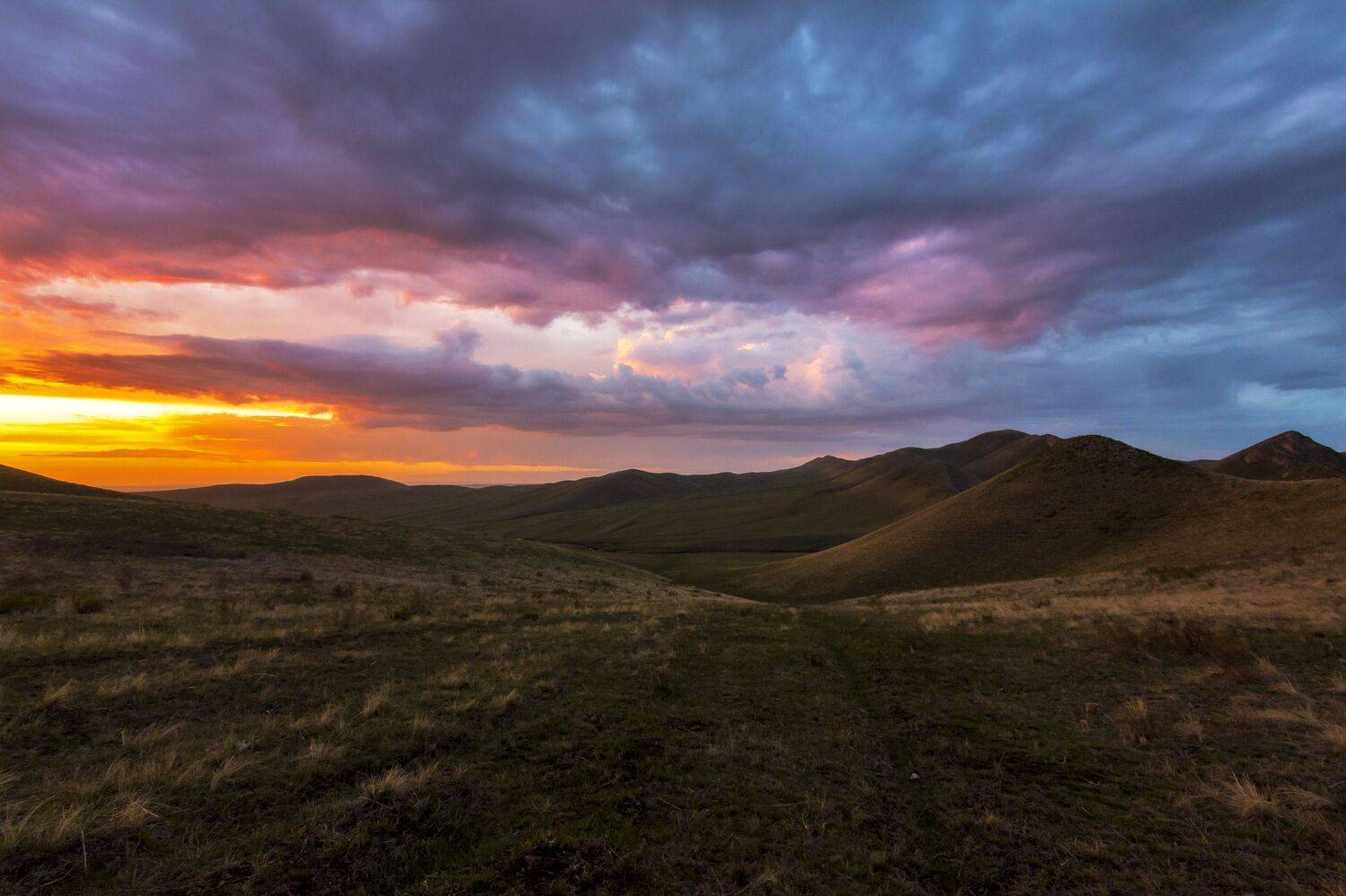 *******. Автор: Андрей Шарапов , Андрей Шарапов
