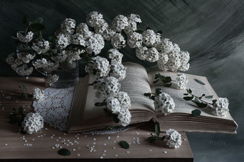 спирея, книги, открытая книга Еще про спирею и книгуphoto preview