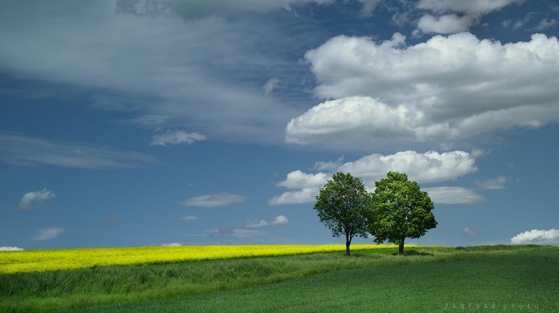 голубые, весенние, горизонты ,zanfoar,moravia,bohemia,nikon d750,czech republic Голубые весенние горизонтыphoto preview