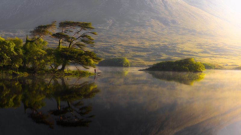 Serendipityphoto preview