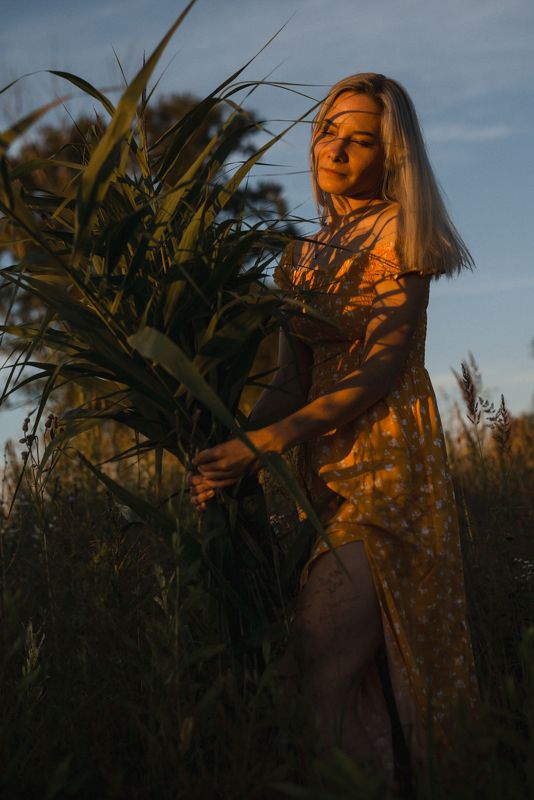 девушка поле закат солнце лето photo preview