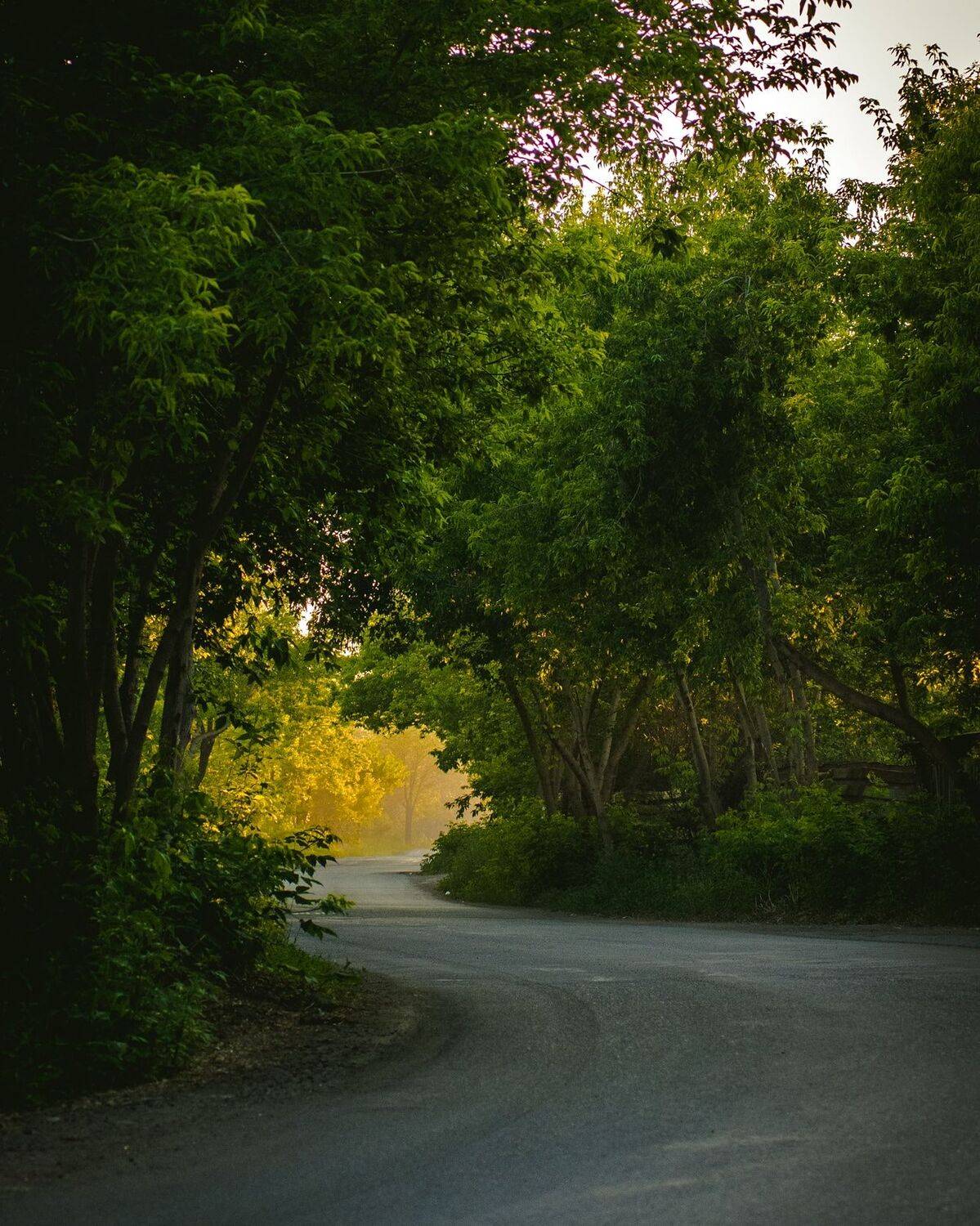 В закат. Автор: Денис Храмеев , Денис Храмеев