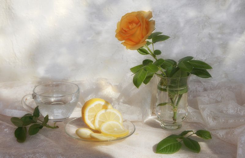 Солнечное утроphoto preview