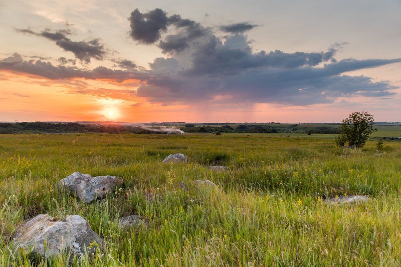 пейзаж, закат, весна, май, степь, облака Степь фото превью