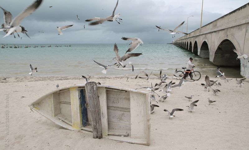 чайка, птица, полет, крыло, море, берег, пляж, лодка, причал, путешествие, приключение, шагнивнеизведанное Из цикла \