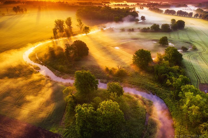 landscape, poland, light, spring, awesome, amazing, sunrise, sunset, lovely, nature, travel, dji, mavic, river, fog, mist, mood, trees Golden hourphoto preview