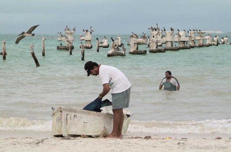 рыбаки, море, берег, пляж, лодка, причал, птица, путешествие, приключение, шагнивнеизведанное Из цикла \