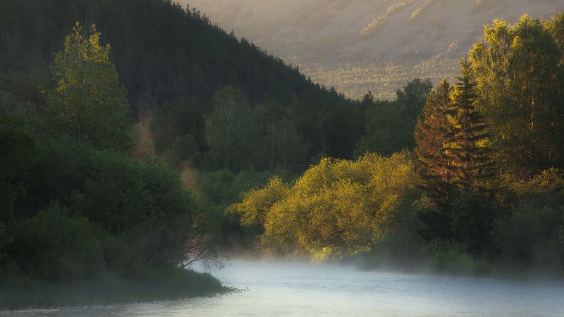 юрюзань, зигальга Таёжные зарисовкиphoto preview