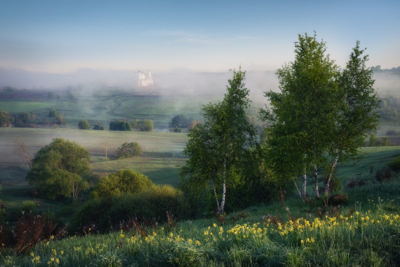 тульская область, анастасов монастырь, монастырь, тульские пейзажи, одоевский район, одоев, анастасово, весенний пейзаж, весна, май, примула, первоцвет, русский пейзаж, березки, луг, долина реки, долина упы, река упа, утренний туман Примула цвететphoto preview