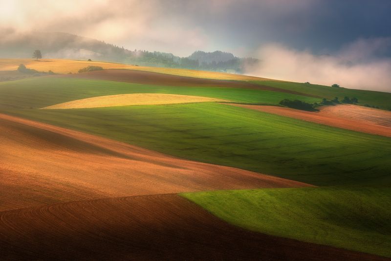 Spring color palettephoto preview