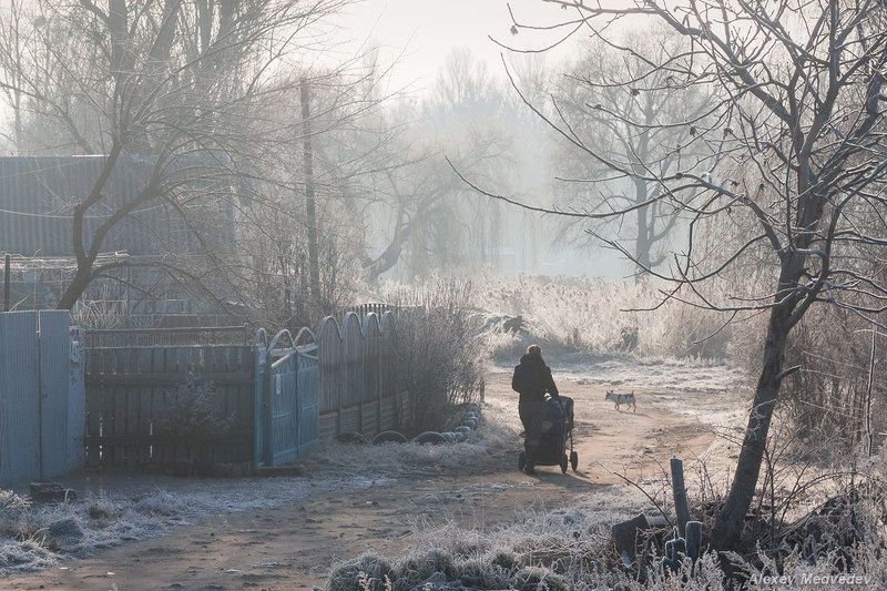 васильков васильків стугна Утренняя прогулкаphoto preview