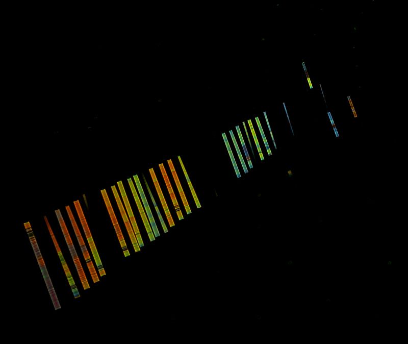 свет, паутина, макро, дисперсия, радуга Дисперсия на паутинеphoto preview