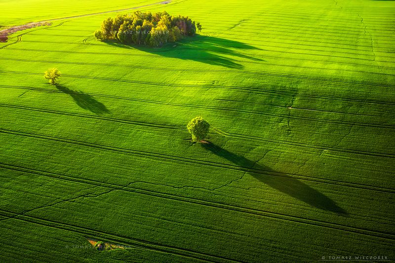landscape, poland, light, spring, awesome, amazing, sunrise, sunset, lovely, nature, travel, trees, dji, mavic, shadows, fields The Shadowsphoto preview