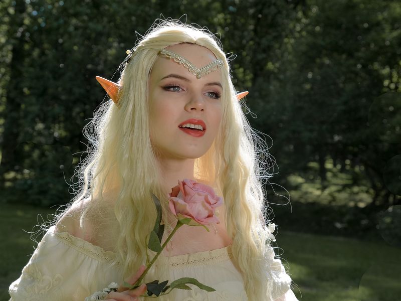 девушка, свет, платье, фотография, гламур, постановочная фотография, лес, роза, Девушка Эльф.photo preview