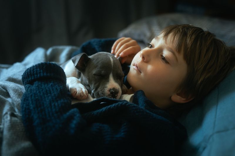 Friendsphoto preview