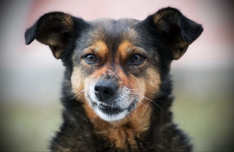 Улыбкаphoto preview