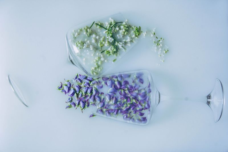 Вино из сирени и люпинов фото превью