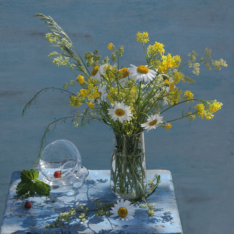 Вот и летоphoto preview