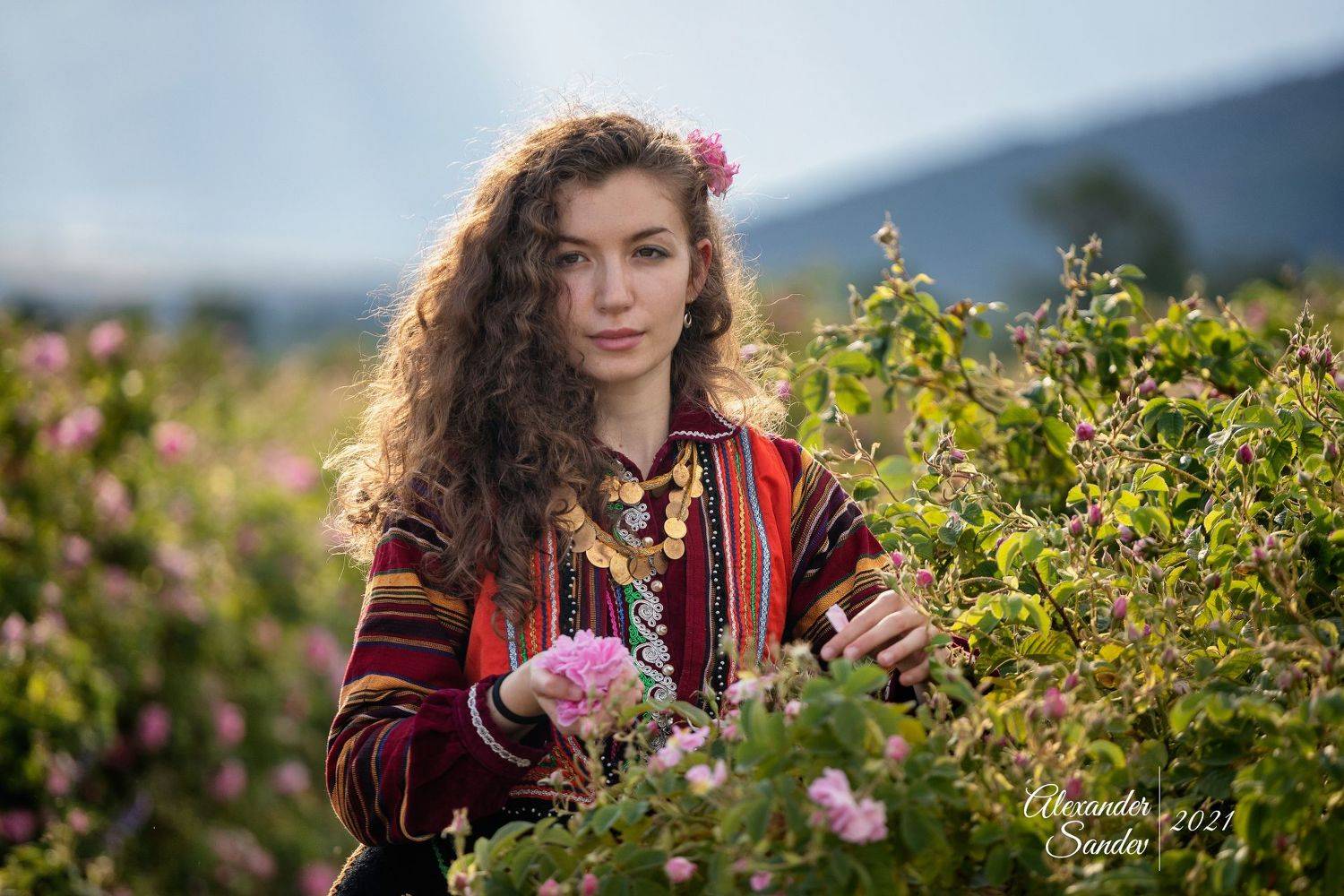 Сбор роз в Болгарии - Фото пены Tamron. Автор: Александър Сандев , Александър Сандев