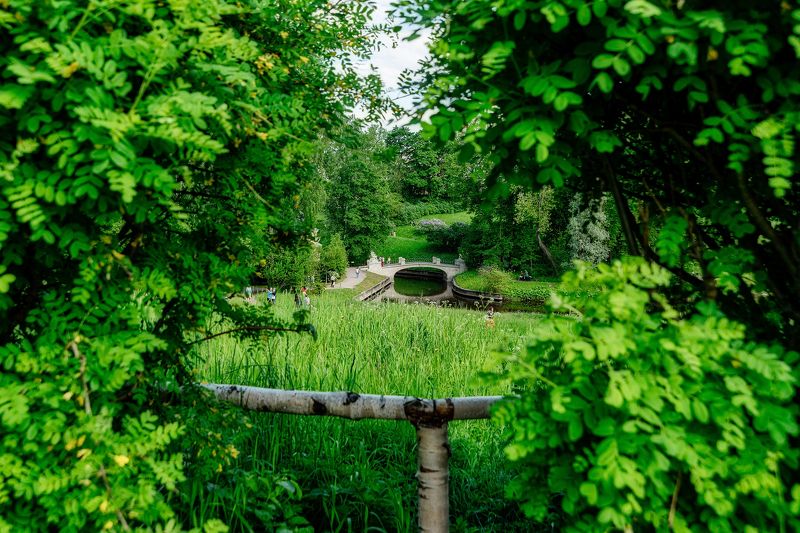 лето, парк, зелень, деревья, волшебство Волшебная страна Лето...photo preview