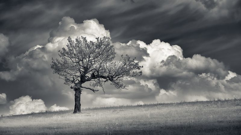 Ветренныйphoto preview