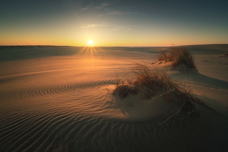 россия, калининградская область, балтика, балтийское море, куршская коса, национальный парк, пейзаж, природа, море, дюны, куршский залив, песок, весна, рассвет, солнце Дюныphoto preview