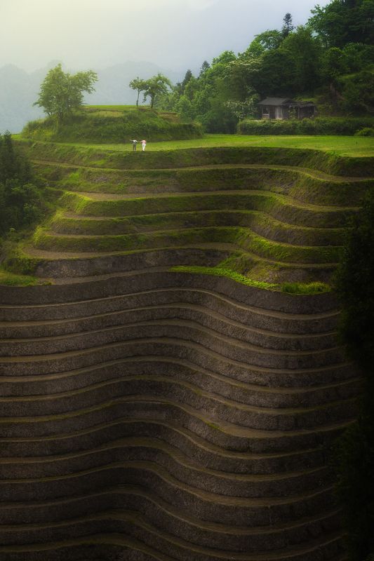 landscape, china, guilin, rice fields, A Piece of Happinessphoto preview